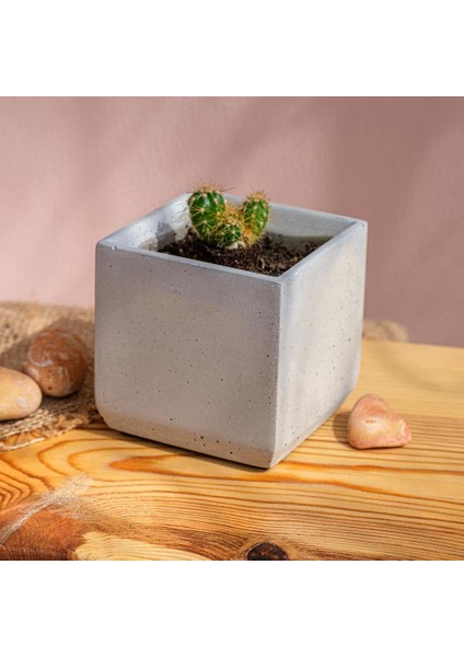 2&amp;#39;ıi Set Kare Beton Sukulent &amp; Kaktüs Saksısı fiyatları