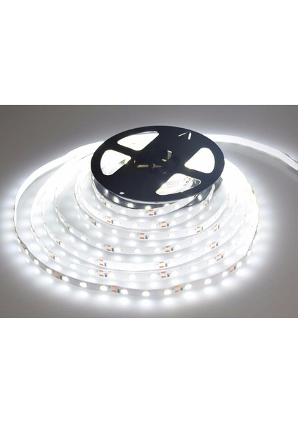 5 Metre Rbr Pld 3006 12V 3 Çip Beyaz Işık 6400K Iç Mekan Şerit LED modelleri