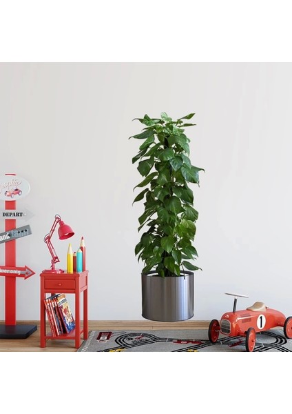 Pratik Saksılı Bitki Tasarımlı Yapışkanlı Sticker Resim 90*30 cm MC-665