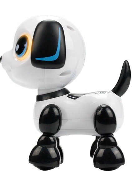 Robo Heads Up Robot