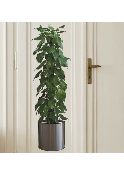 Pratik Saksılı Bitki Tasarımlı Yapışkanlı Sticker Resim 90*30 cm MC-665