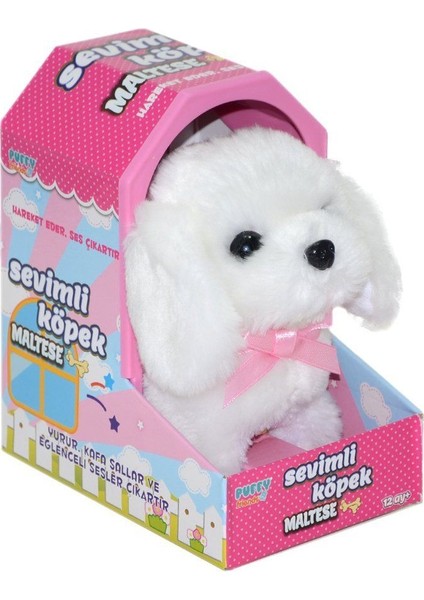 47100 Sevimli Köpek Maltese