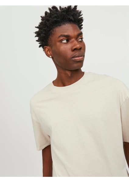 Jjebradley Tee Ss O-Neck Erkek T-Shırt