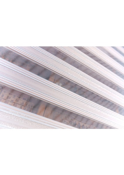 Simli Pudra Zebra Stor Perde