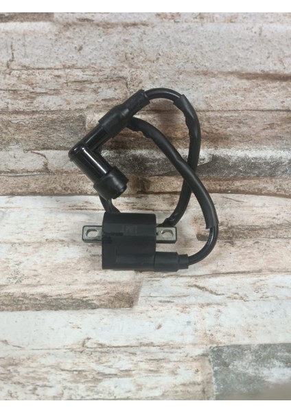 Cg Ateşleme Bobini
