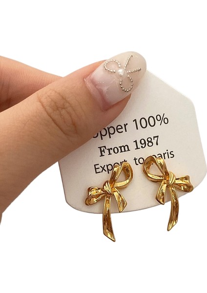 Niş Tasarım Metal Saplama Küpeler Moda Vintage Basit Moda Küpeler (Yurt Dışından)