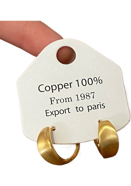 Niş Tasarım Metal Saplama Küpeler Moda Vintage Basit Moda Küpeler (Yurt Dışından)