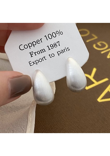 Niş Tasarım Metal Saplama Küpeler Moda Vintage Basit Moda Küpeler (Yurt Dışından)