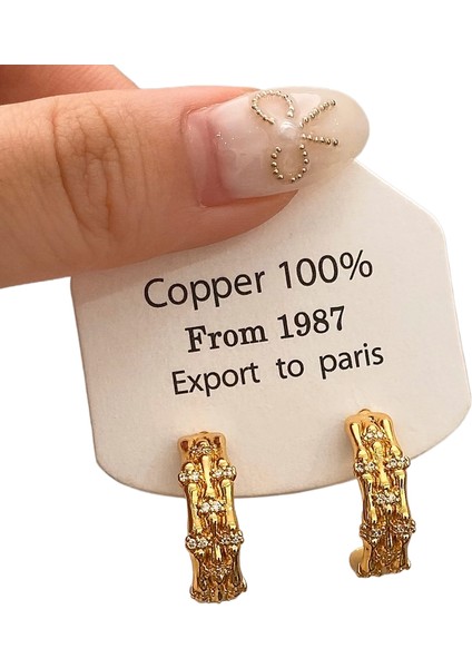 Niş Tasarım Metal Saplama Küpeler Moda Vintage Basit Moda Küpeler (Yurt Dışından)