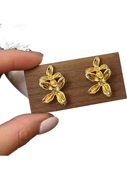 Basit, Çok Yönlü Niş Tasarım Küpeler Modadan Banliyö Küpelerine (Yurt Dışından)