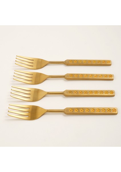 Rampur Çelik Servis Seti 4X20X0.2 cm Renkli