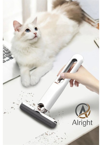 Elite Taşınabilir Temizlik Paspası Mini Mop Tezgah Pencere Cam Silme Aleti 1 Adet modelleri