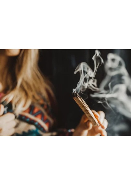 Elite Palo Santo Tütsü 1 Adet