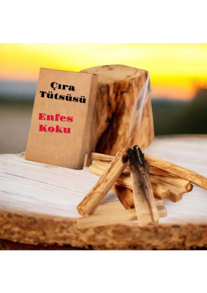 Elite Doğal Çam Ağaçı Tütsüsü (Çıra) Holy Wood 100 gr 1 Adet