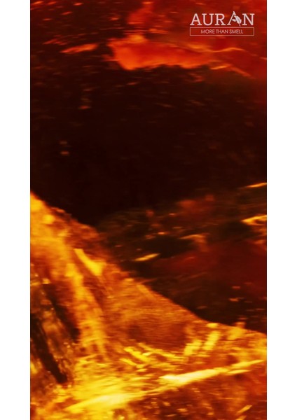 Elite Amber Kokulu Geri Akış Tütsüsü Konik Tütsü Amber Backflow Incense Cones 10 Adet 1 Adet
