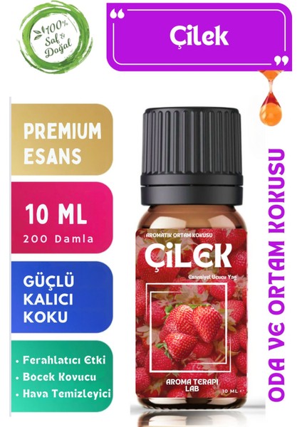 Elite Çilek - Esansiyel Uçucu Yağ - Oda ve Ortam Kokusu - Aromatik Uçucu Yağ 10ML 1 Adet