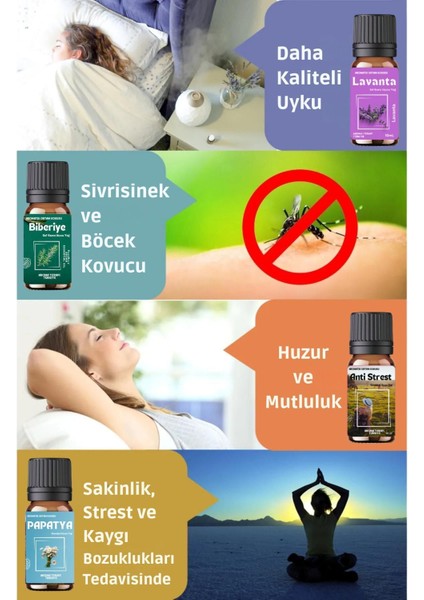 Elite Doğa Serisi 3 Adet - Saf Esansiyel Yağ - Oda ve Ortam Kokusu - Aromatik Uçucu Yağ 1 Adet
