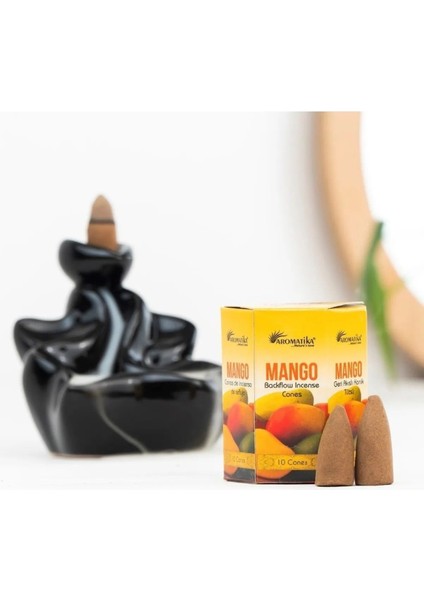 Elite Mango Aromalı Geri Akış Tütsü 10 Adet 1 Adet