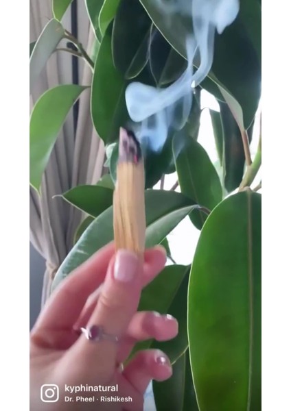 Elite 20 Gram Palo Santo Ağaç Tütsü ve Keten Kese 1 Adet fiyatları