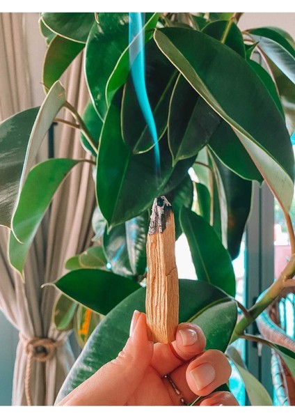 Elite 20 Gram Palo Santo Ağaç Tütsü ve Keten Kese 1 Adet modelleri