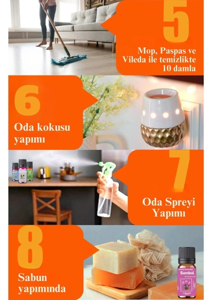 Elite Yağmur Ormanları - Esansiyel Uçucu Yağ - Oda ve Ortam Kokusu - Aromatik Uçucu Yağ 10ML 1 Adet