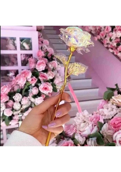 Elite Pembe Çiçekli Fincan Seti Sonsuzluk Gülü Kişiye Özel Fotograf Mum Epoksi Anah. Hediye Seti 1 Adet fırsatları