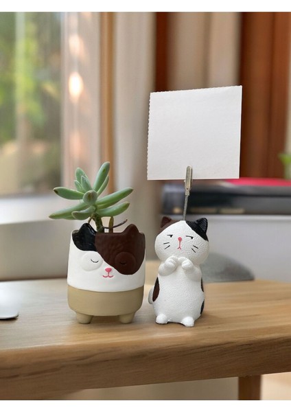 Elite Utangaç Kedi Temalı Not Tutucu ve Kedi Saksı Seti Hediyelik Ofis Seti 1 Adet