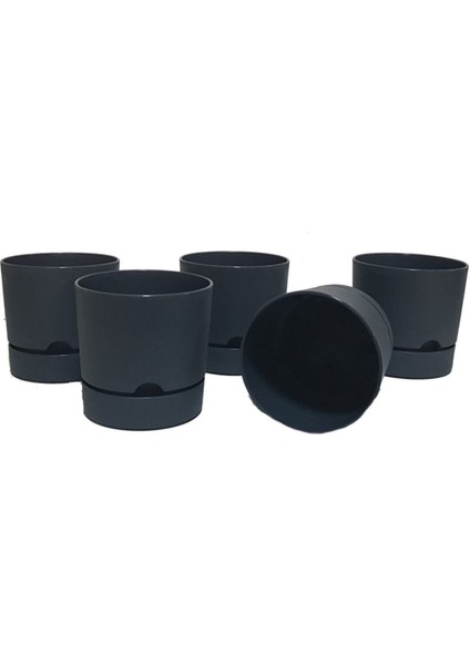 Elite Avantajlı Set 5 Adet Begonya 9 cm Tabaklı Saksı Antrasit 0,5 Lt 1 Adet