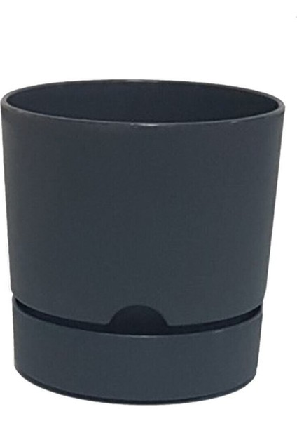 Elite Avantajlı Set 5 Adet Begonya 9 cm Tabaklı Saksı Antrasit 0,5 Lt 1 Adet
