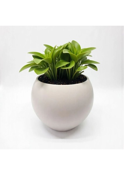 Elite Küre Saksı Modern Dekoratif Plastik Saksı 7,5 Litre (Içsiz) 1 Adet