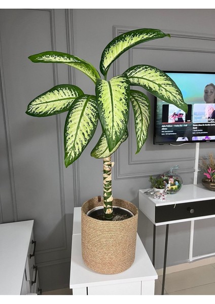 Elite Hasır Saksılık, Çok Amaçlı Hasır Sepet, Bahçe Düzenleyici 25X25 1 Adet