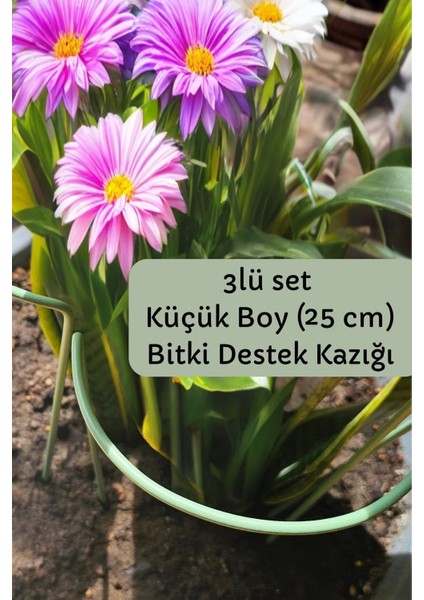 Elite Bitki Destek Kazığı 3lü Set Küçük Boy (6 Adet) 1 Adet