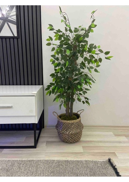 Elite Natural Small Boy Katlanabilir Hasır Sepet / Saksılık 30X28CM 1 Adet fırsatları