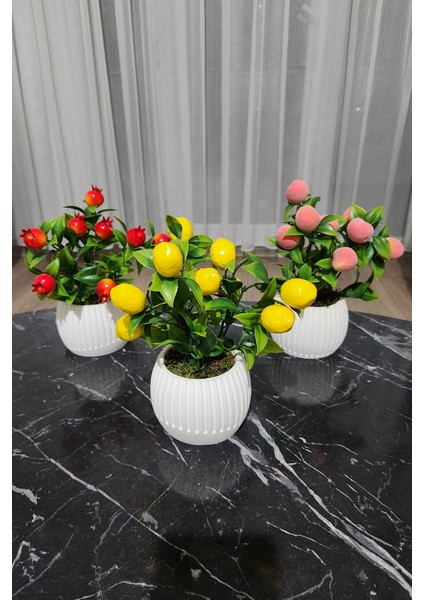 Elite Anneler Günü Modern Beton Saksıda 3'lü Set Nar Şeftali Limon Saksıda Yapay Meyve Ağacı 1 Adet