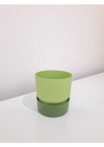 Elite Ixora 13 cm Saksı Çift Renkli Yeşil Tonları Genişlik 13 cm Yükseklik 13 cm 1,25 Lt 1 Adet