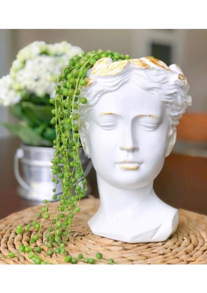 Elite 21CM Helen Saksı Vazo Büst Gold Taçlı 1 Adet