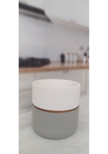 Elite Beton Silindir 2 Litrelik Büyük Boy Kaktüs/sukulent/salon Bitkisii/orkide Saksısı 1 Adet