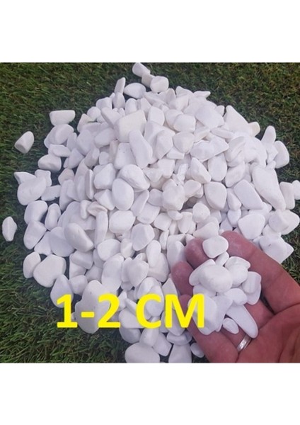 Elite Beyaz Çakıl Taşı 10 kg 1-2 cm Saksı Dibi Teraryum Saksı Süs Vazo Dibi Dekoratif Dolomit Taş 1 Adet fırsatları