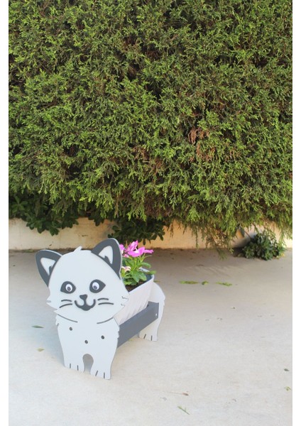 Elite Kedi Saksı (Saksı Hediyeli) 1 Adet