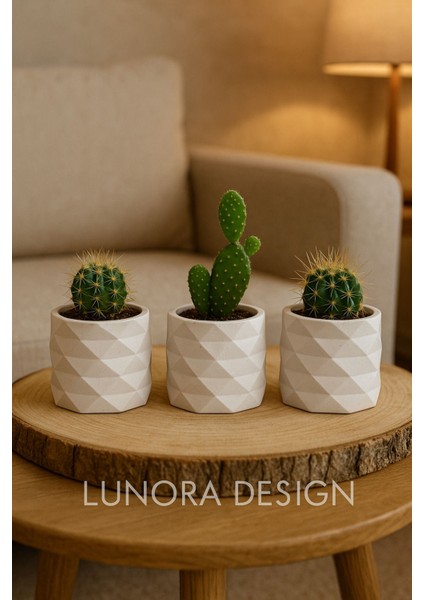 Elite Geometrik Desenli El Yapımı 3’lü Kaktüs Saksı Seti – Beyaz | Lunora Design 1 Adet