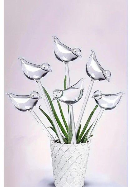 Elite 2 Adet Otomatik Çiçek Sulama ve Ev Bahçe Araçları Için Kuş Şekilli Kendinden Sulama Küreleri 1 Adet