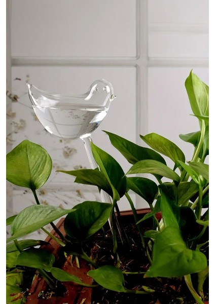 Elite 2 Adet Otomatik Çiçek Sulama ve Ev Bahçe Araçları Için Kuş Şekilli Kendinden Sulama Küreleri 1 Adet indirimleri