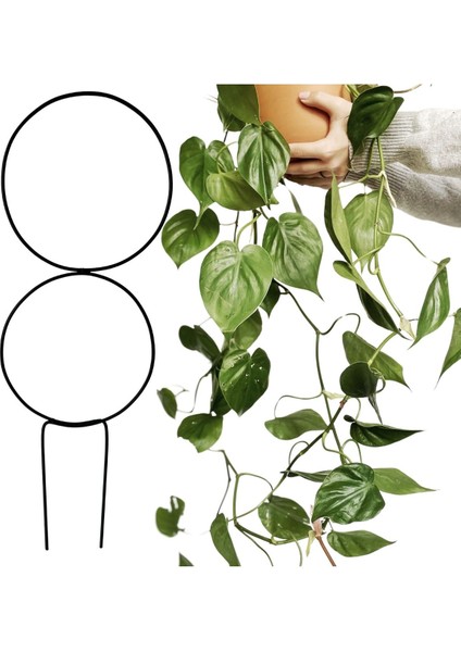 Elite Plot Siyah Metal Bitki Desteği – Çift Halkalı 57CM Boy, 19CM Çap, Tırmanıcı ve Sarmaşık Uyumlu 1 Adet