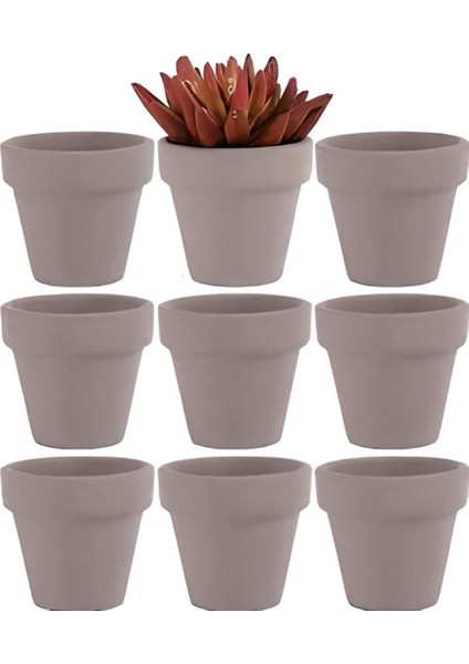 Elite Sukulent Kaktüs Saksısı Üretim Saksısı Plastik Saksı Mini Saksı 1 Adet