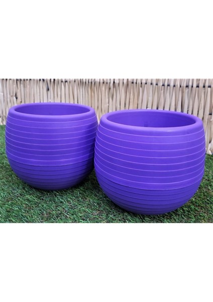 Elite Kaktüs Saksısı 1,3 Lt 1 Adet Mor Elvan Saksı Sukulent Saksı Renkli Saksı Plastik Saksı Mini Saksı 1 Adet