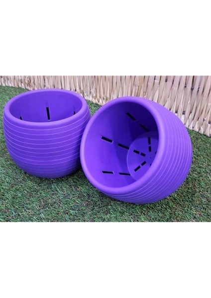 Elite Kaktüs Saksısı 1,3 Lt 1 Adet Mor Elvan Saksı Sukulent Saksı Renkli Saksı Plastik Saksı Mini Saksı 1 Adet fiyatları