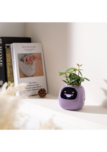 Elite Plantsıo Akıllı Evcil Hayvan Saksı Robotu 1 Adet