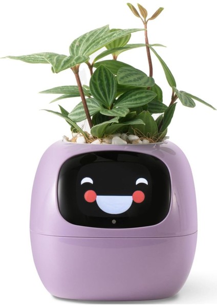 Elite Plantsıo Akıllı Evcil Hayvan Saksı Robotu 1 Adet