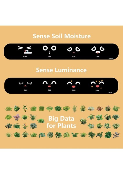 Elite Plantsıo Akıllı Evcil Hayvan Saksı Robotu 1 Adet