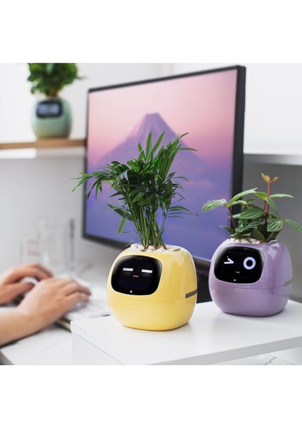 Elite Plantsıo Akıllı Evcil Hayvan Saksı Robotu 1 Adet